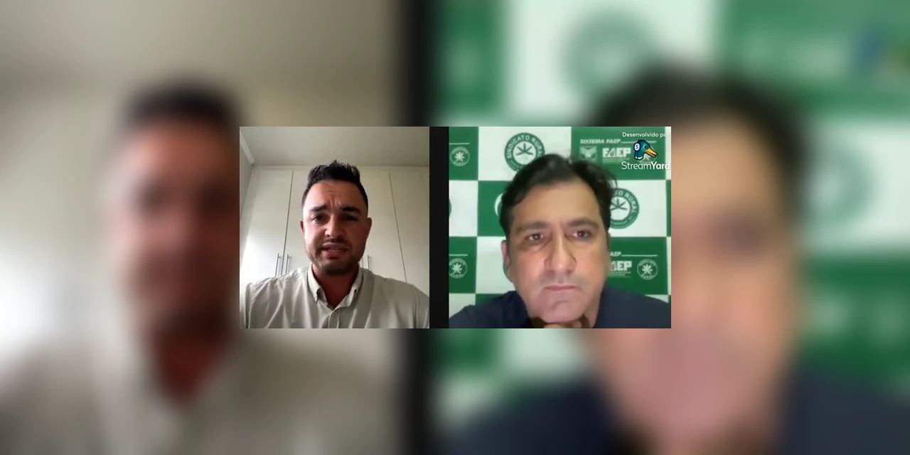 "Não é só a cultivar que vai puxar o potencial produtivo para cima, mas é o conjunto com todas as outras ferramentas de manejo disponíveis", afirma engenheiro agrônomo em live do Sindicato Rural