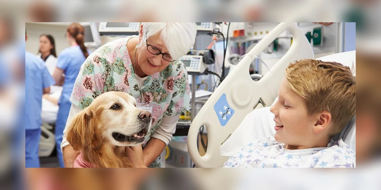 Deputado propõe PL que permite visita de animais a pacientes internados em hospitais