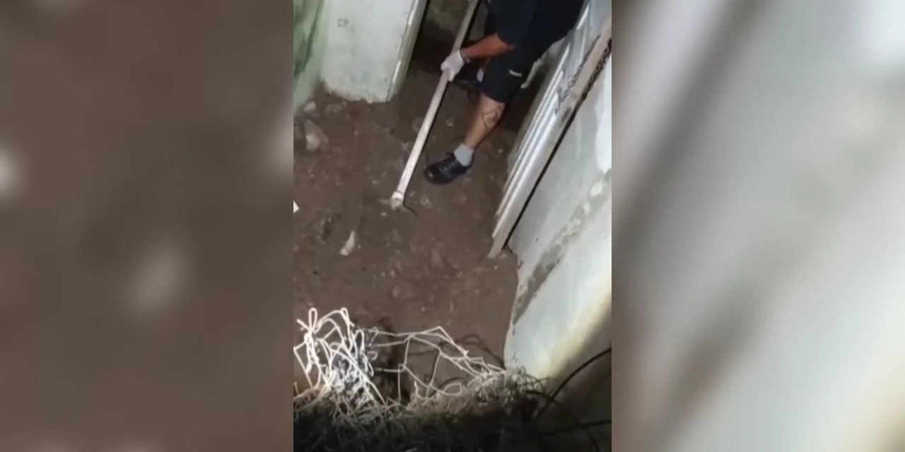 Vídeo: PCPR e PMPR encontram corpo enterrado em quintal e prendem suspeito
