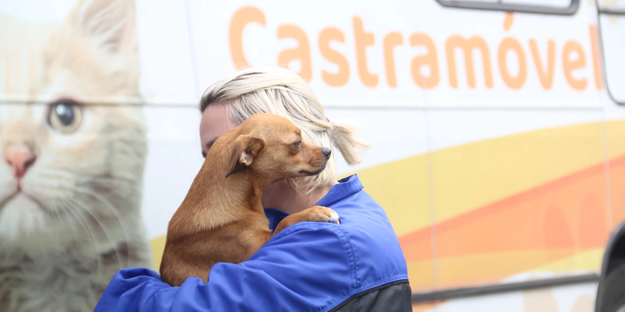 PG terá mutirão para castração de cães e gatos em março