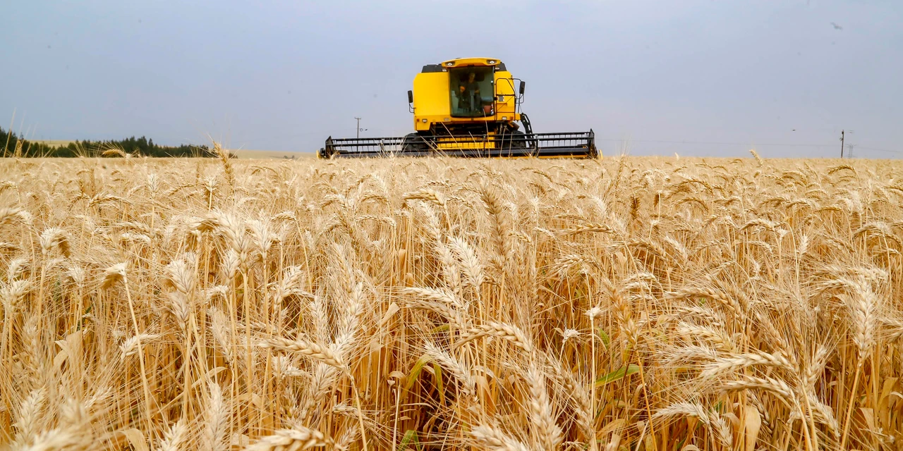Plano Safra: Liberação do crédito rural supera R$ 239 bilhões em oito meses