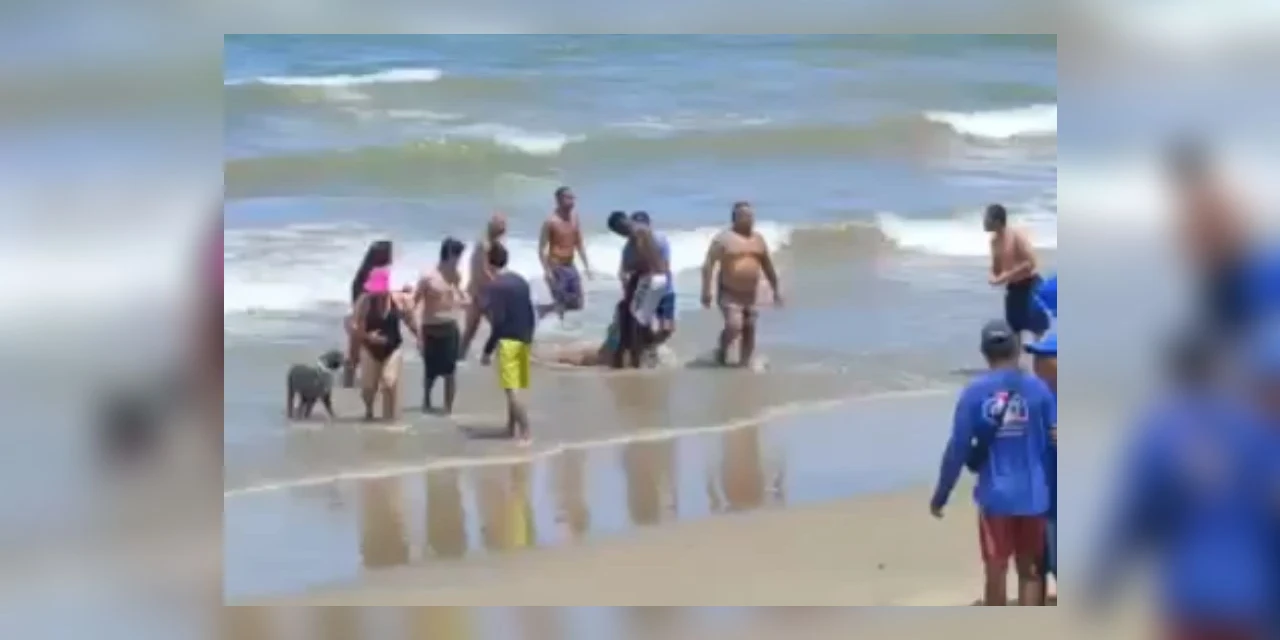 Novo ataque de tubarão em Pernambuco faz com que adolescente tenha braço amputado