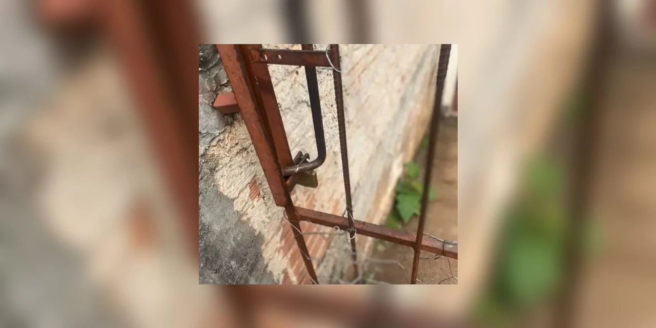 Idosos são resgatados de casa suja com fezes de animais no PR