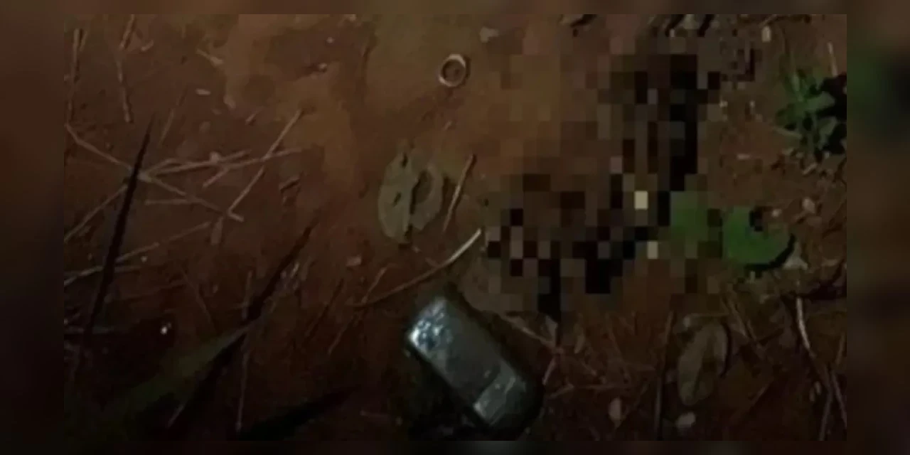 Ossada humana é encontrada em mata perto do Palácio do Planalto, em Brasília