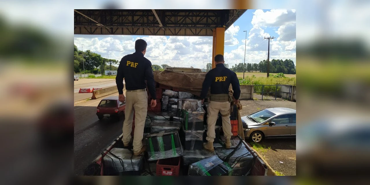 Paraná: PRF faz a maior apreensão de maconha do Sul do Brasil em 2023
