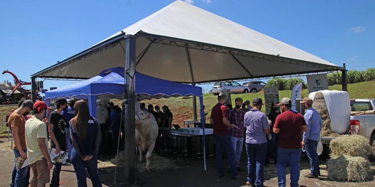 Agro&Negócio: Campo Mourão será palco do mundo agro, por Ricardo Weg