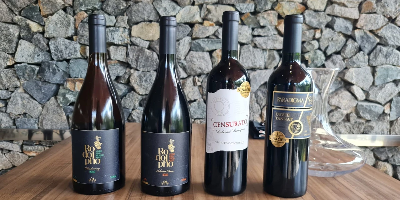 Vinhos & Viagens: 'Vinícola Franco Italiano é premiada em concurso internacional e lança a linha Rodolpho', por Patrícia Ecave