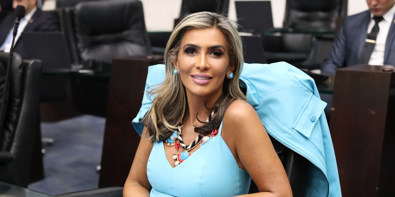 Deputada Flávia Francischini promove audiência pública para debater autismo