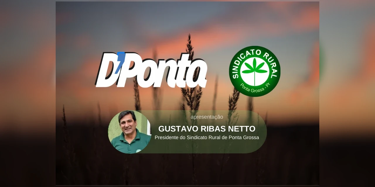 Sindicato Rural de PG e D'Ponta News abordam contextualização do manejo de cigarrinha do milho em live nesta quinta (6)