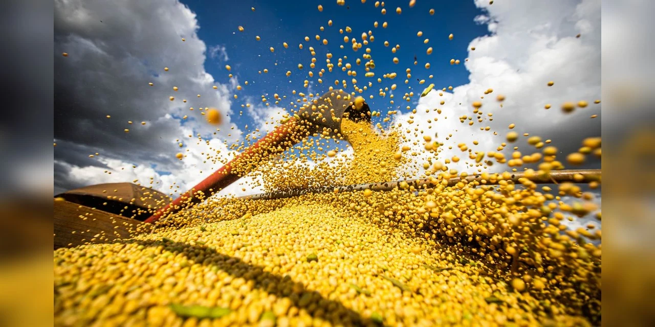 Produção de grãos deve ter alta de 15% na temporada 2022/23