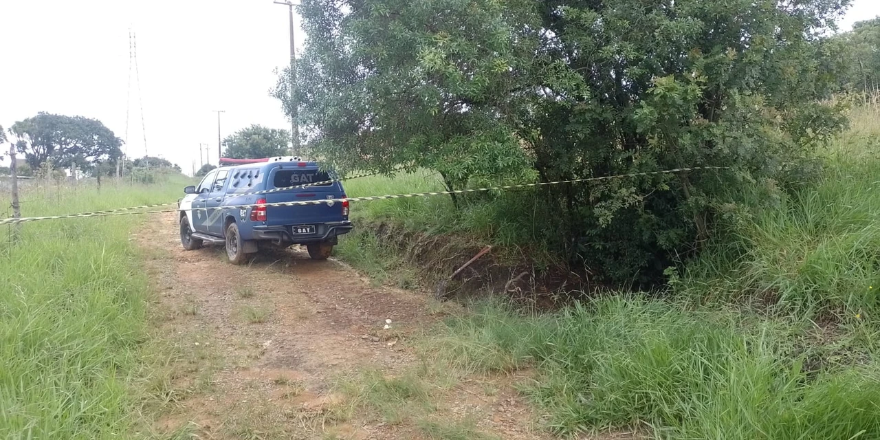 Ossada humana é localizada em bairro de PG