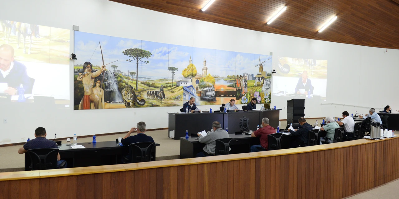 Vereadores de Castro aprovam pedido de prorrogação de programa para Autônomos e Profissionais Liberais