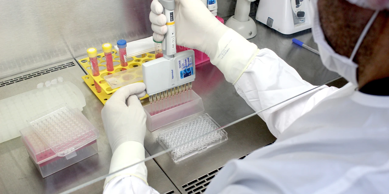 Com alcance em 27 países, Tecpar trabalha para aumentar testes que permitem viagens de animais