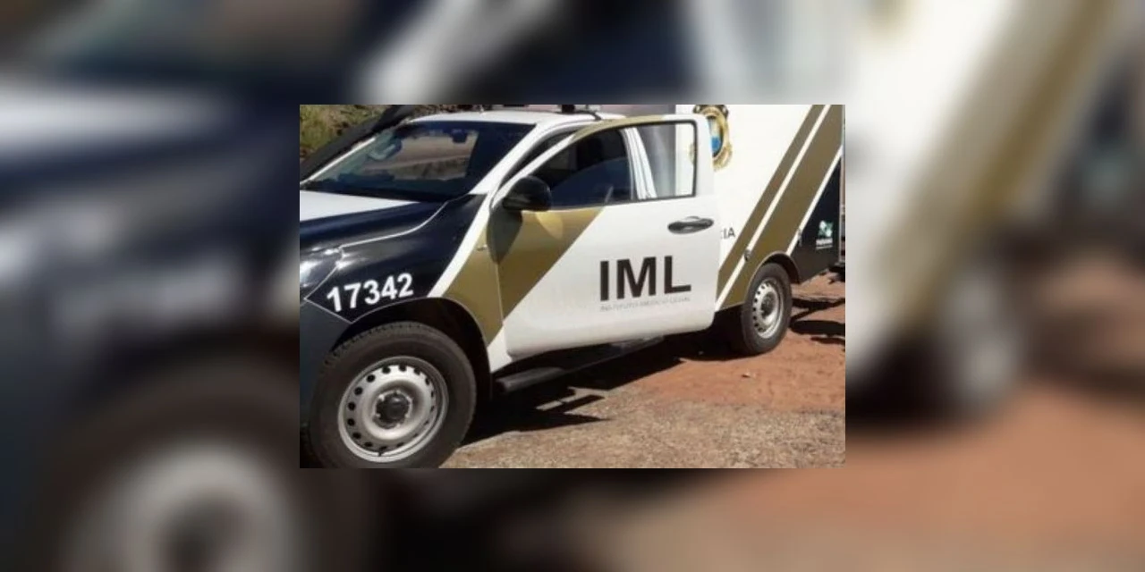 Rapaz de 17 anos confessa assassinato de homem de 54, nos Campos Gerais