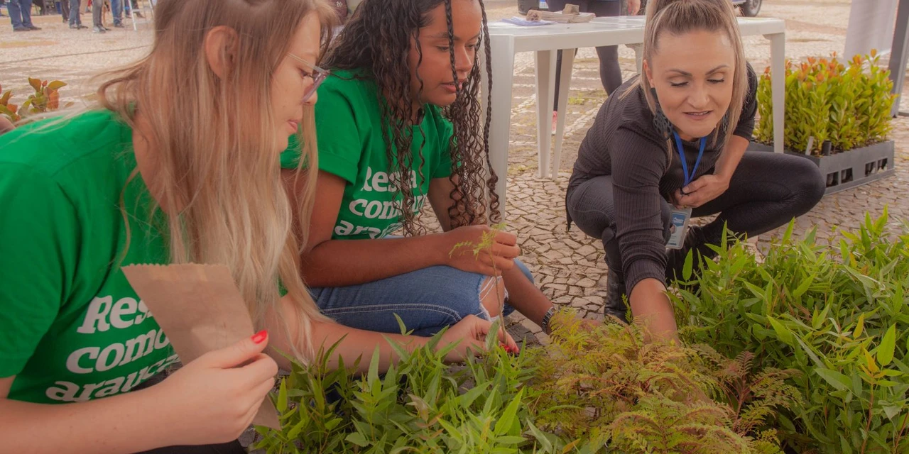 Viveiro Florestal da UEPG participa de ações pelos 200 anos de Ponta Grossa
