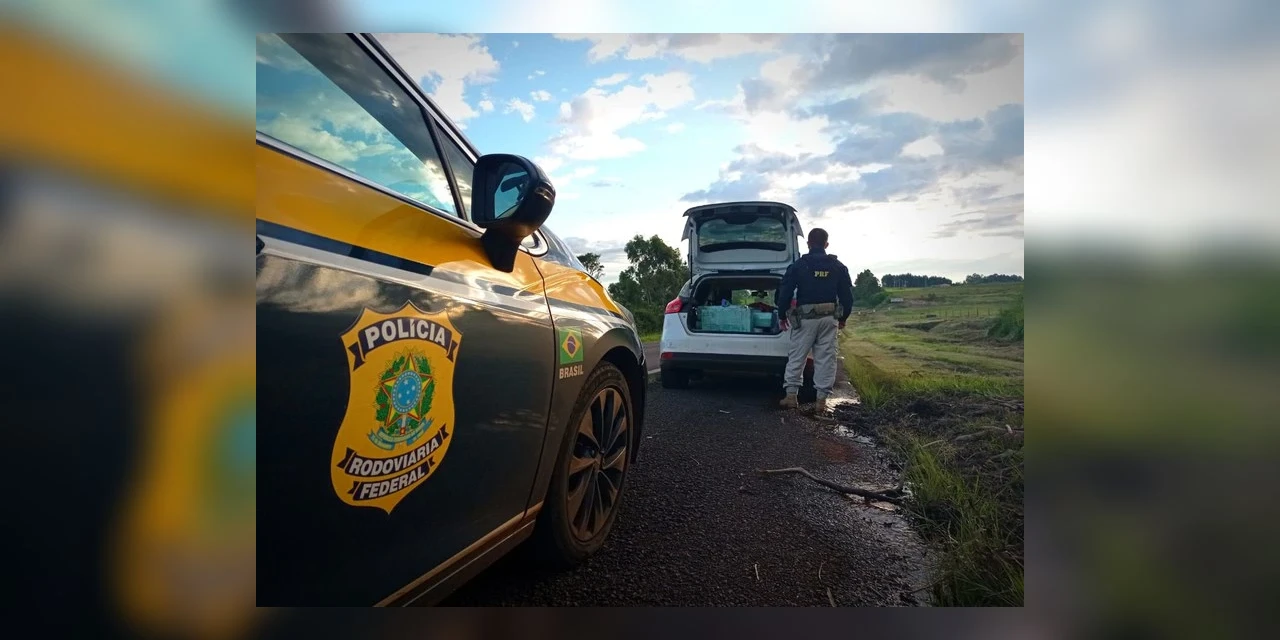 Após perseguição, PRF prende casal com meia tonelada de maconha no Paraná