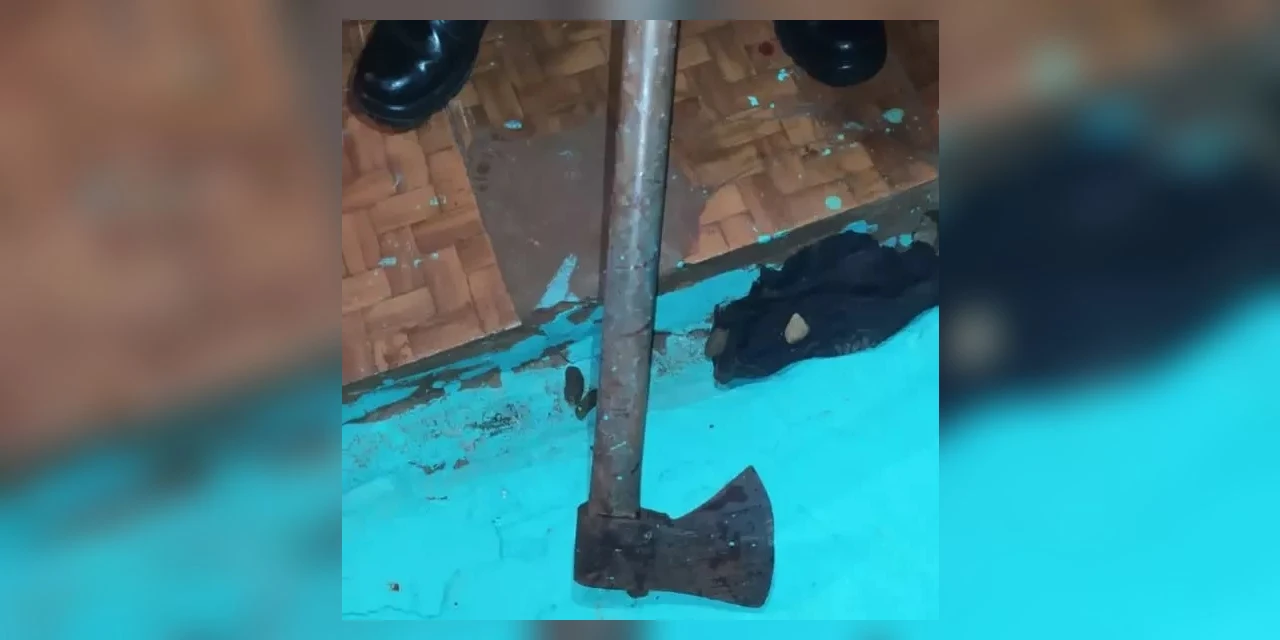 No PR, homem mata cachorro a machadadas e afirma que cometeu crime porque animal “estava com pulgas”