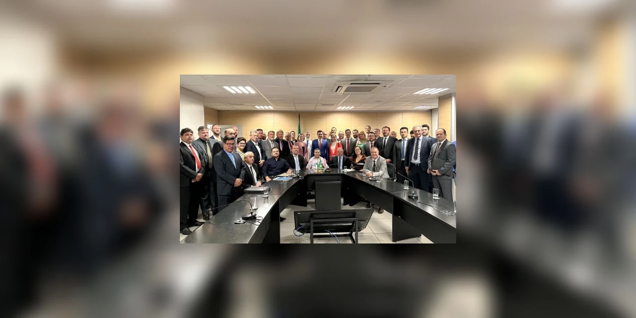 Deputada Gleisi Hoffmann promove audiência para que prefeitos do PR possam apresentar demandas diretamente a ministros
