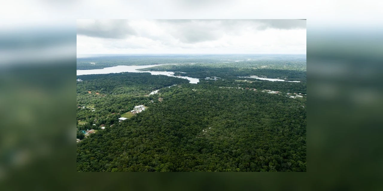 Desmatamento na Amazônia tem queda de 68% em abril em relação a 2022