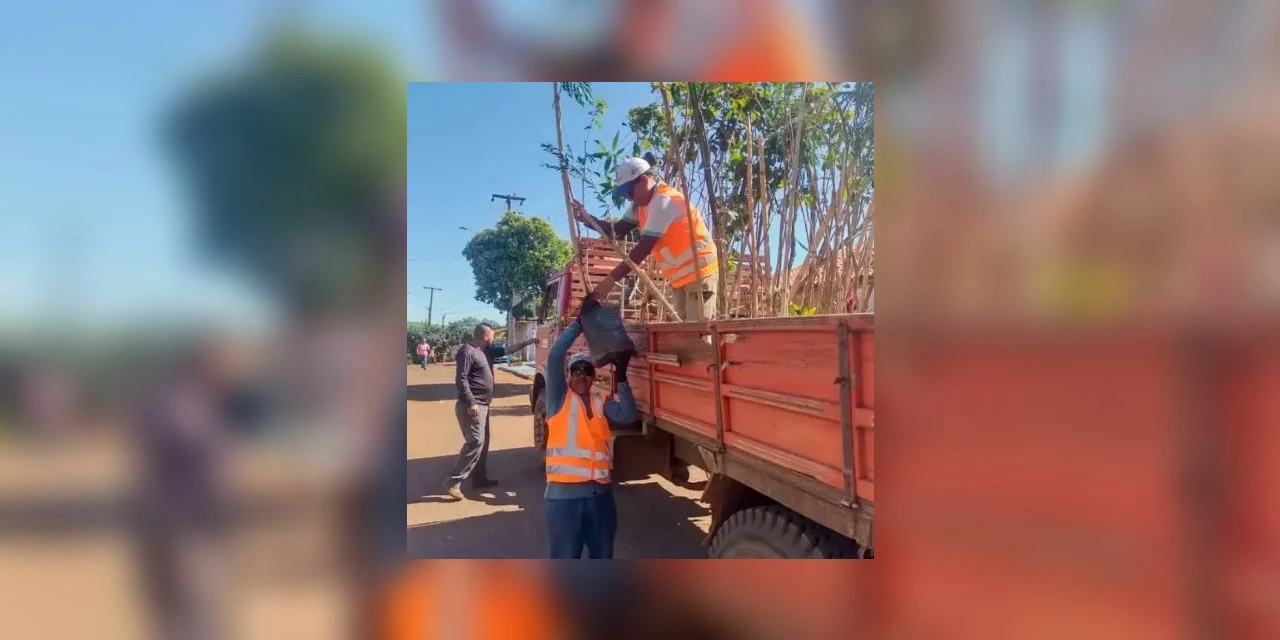 Londrina planta 340 mudas de árvores no distrito de Guaravera
