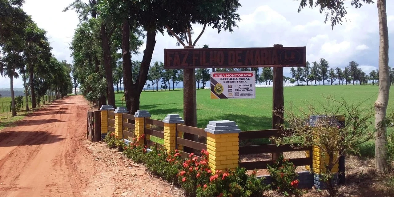 Polícia Militar já apreendeu 100 armas de fogo durante Operação Segurança Rural