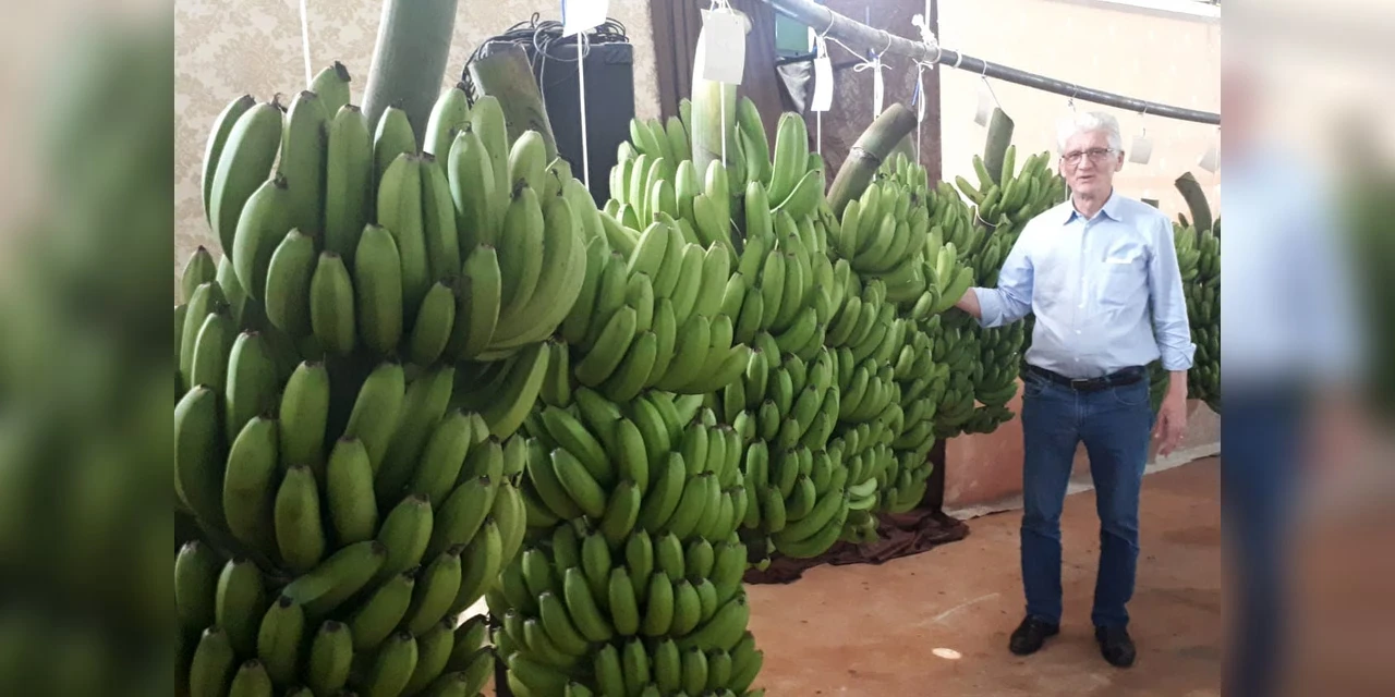 Governo Estadual reforça apoio à agricultura familiar em eventos de Novo Itacolomi