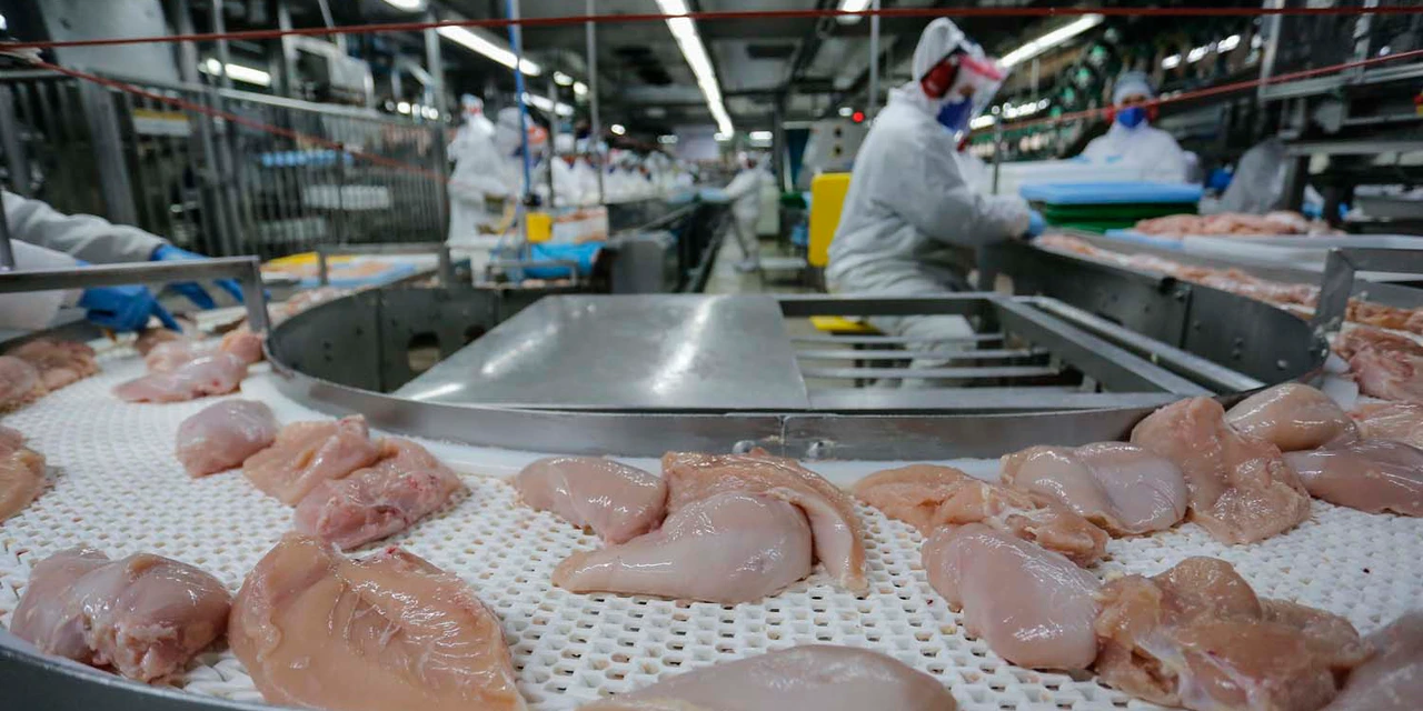 Paraná atinge 2 milhões de toneladas de proteínas exportadas pela primeira vez na história