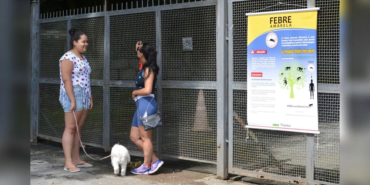 SP volta a registrar mortes por febre amarela após dois anos sem casos