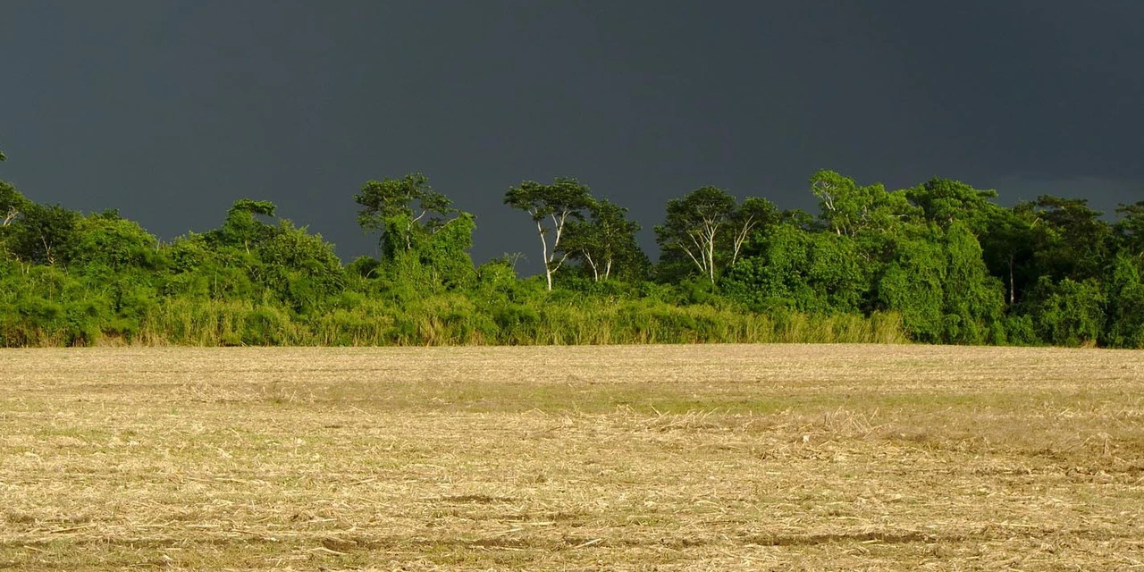 Sob El Niño, inverno deve ser mais chuvoso no Sul e Sudeste