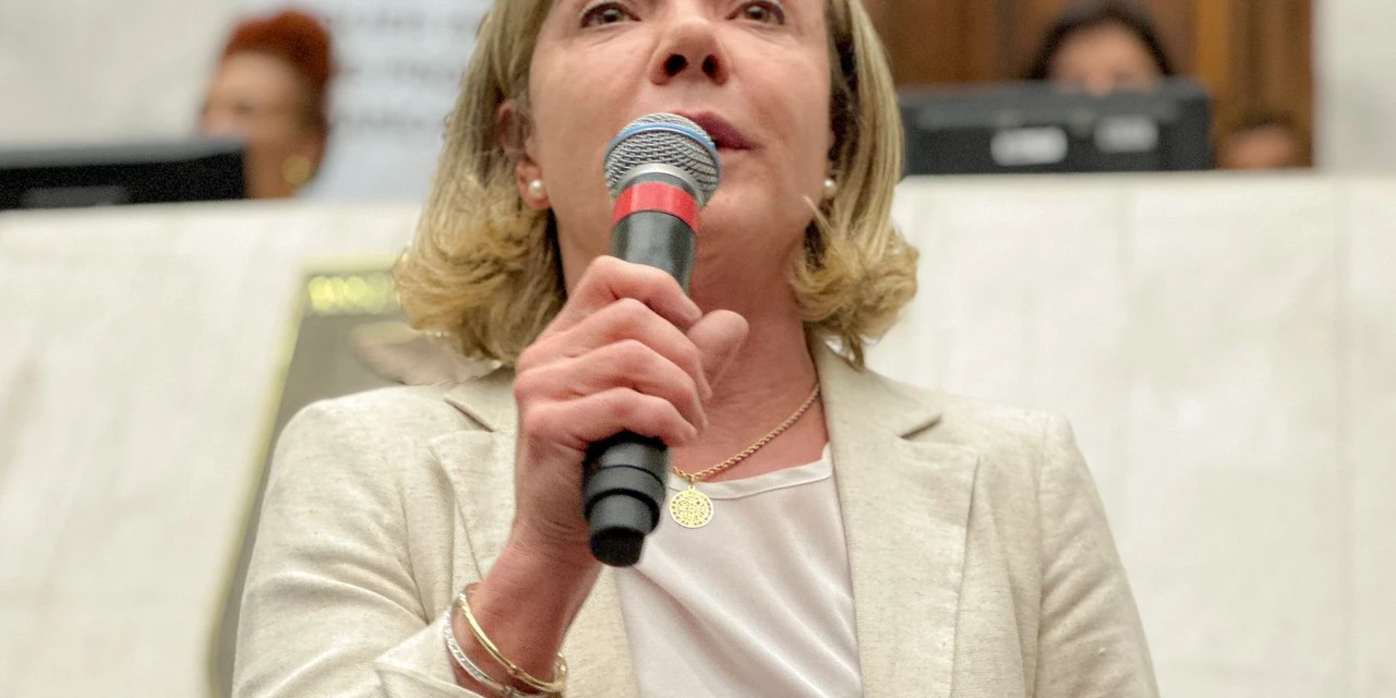 Sob gritos de "senadora", Gleisi Hoffmann parabeniza povo paranaense pela luta e participação popular em plenária do PPA Participativo