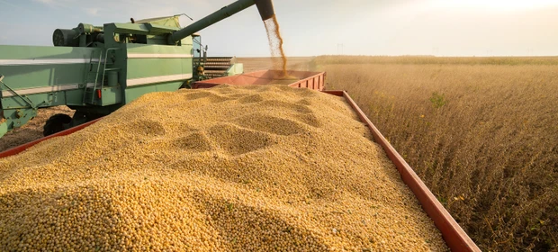 "Agro e Marketing. Parte I – Negócios e Cooperativas", por Lúcio Olivo Rosas