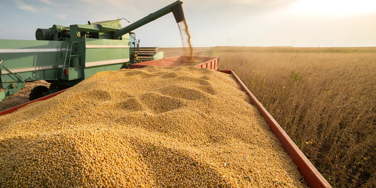 "Agro e Marketing. Parte I – Negócios e Cooperativas", por Lúcio Olivo Rosas
