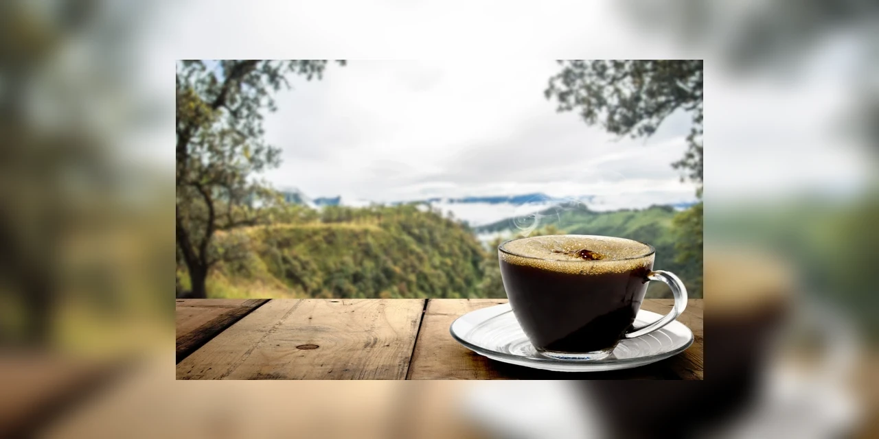 1º de outubro: Dia Internacional do Café