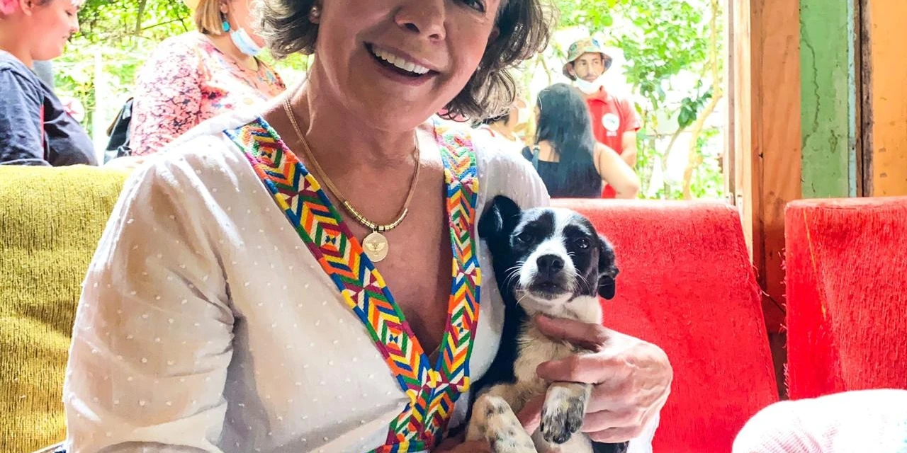 Autora de projetos em defesa dos animais, deputada Gleisi Hoffmann destaca importância do 4 de outubro para a causa