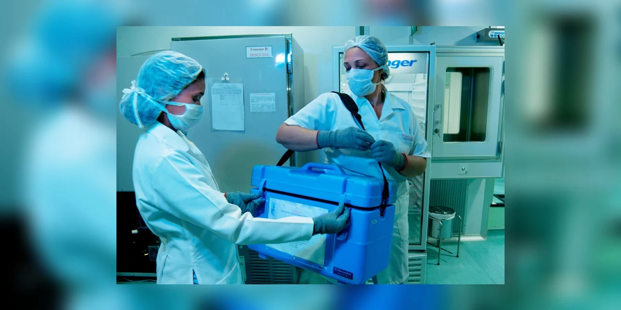 Mais de 600 transplantes foram realizados no Paraná entre janeiro e setembro de 2023