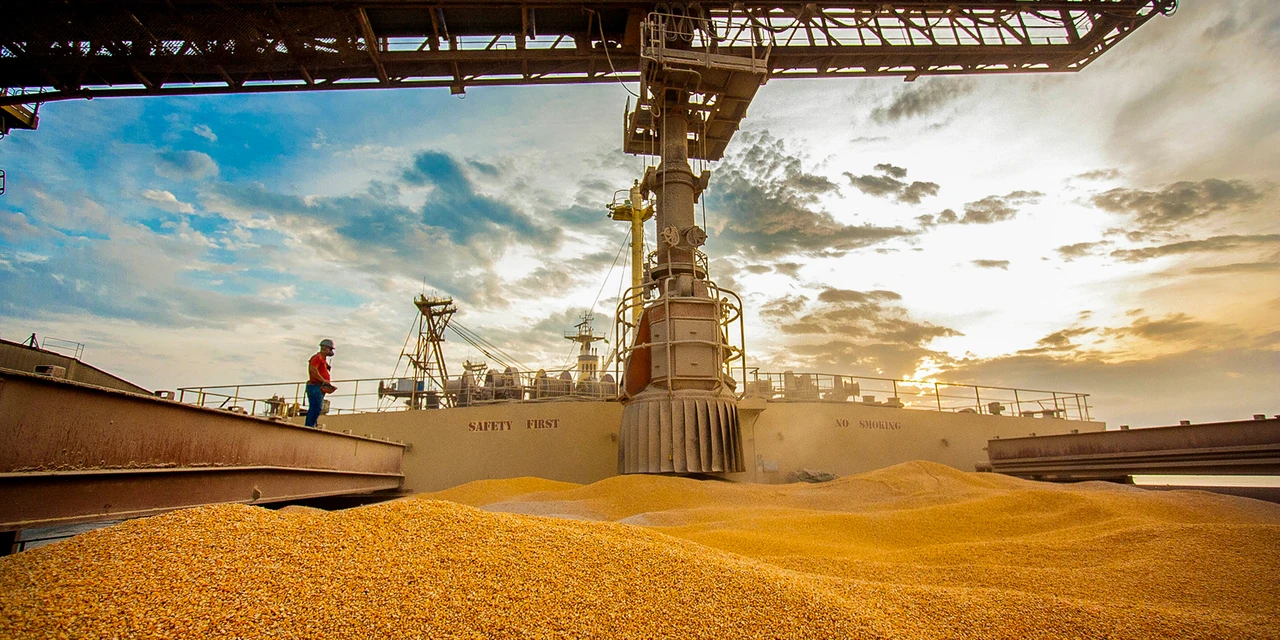 Com resultado de US$ 19 bilhões, exportações crescem 12,7% no Paraná em 2023
