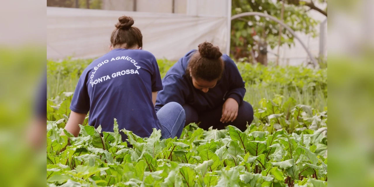 Colégio Agrícola da UEPG conquista Prêmio Agrinho 2023