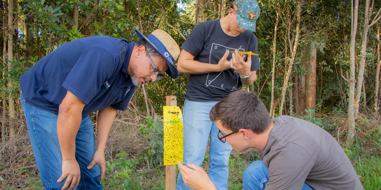 D'P Agro: De Ponta Grossa para o Brasil