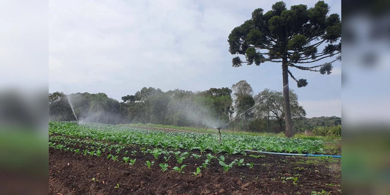Prêmio Orgulho da Terra valoriza uso de tecnologias na agropecuária paranaense