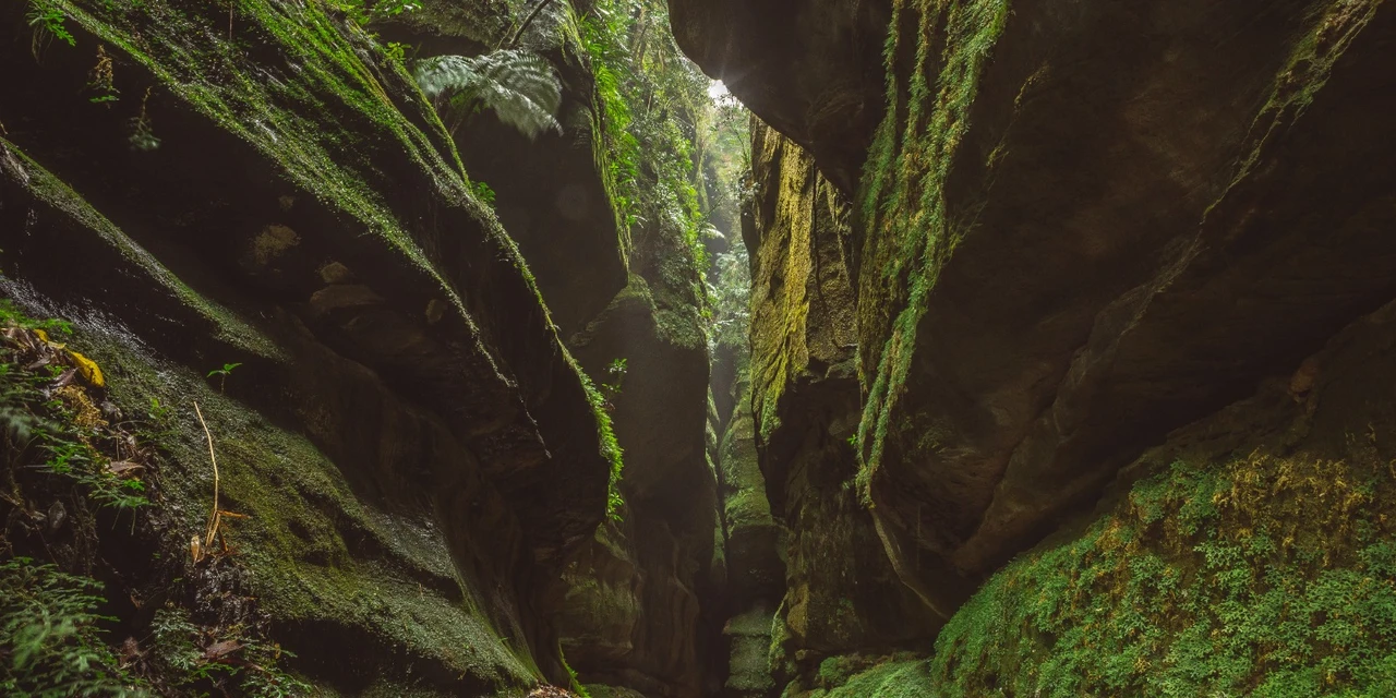 Ponta Grossa realiza pesquisa para aprimorar o turismo na cidade