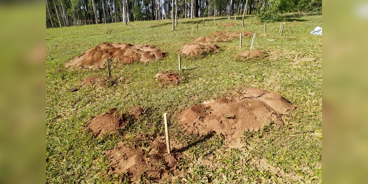 IDR-Paraná intensifica capacitação dos produtores para enfrentar a formiga cortadeira