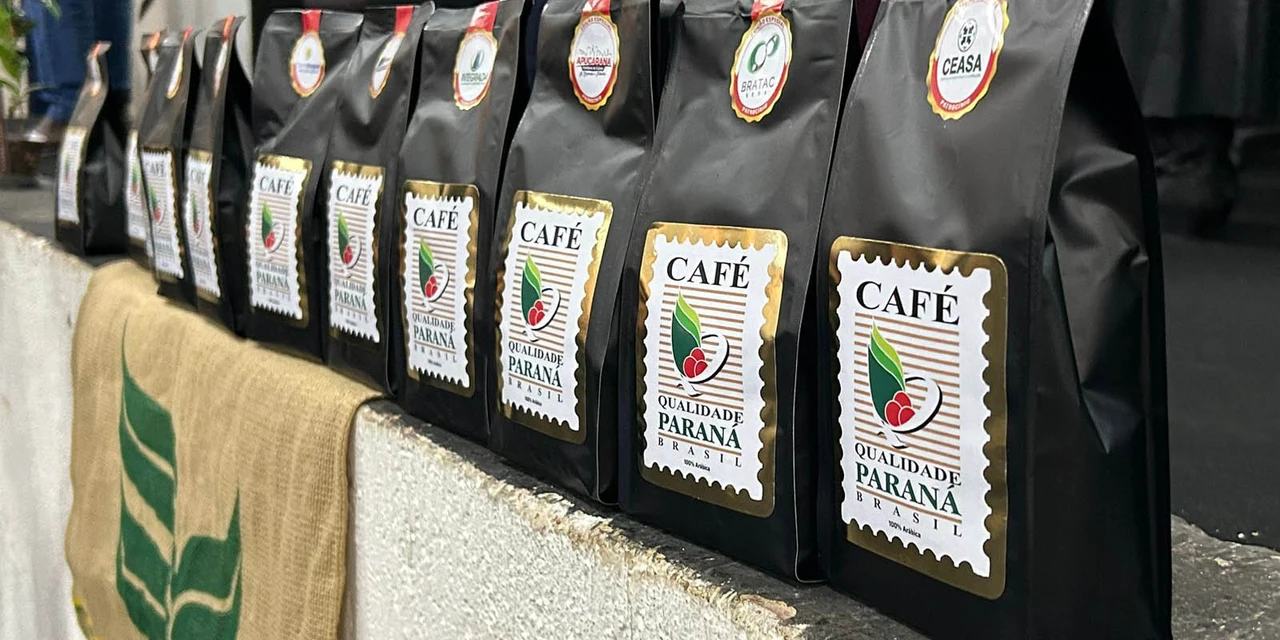 Vencedores do concurso Café Qualidade Paraná serão divulgados nesta quinta-feira