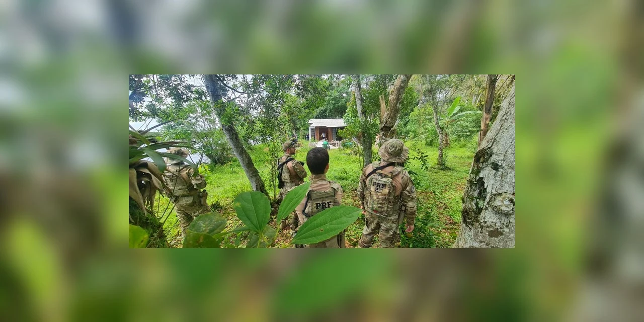 4ª fase de operação conjunta desmancha construções irregulares em áreas de preservação de mangues, no Paraná