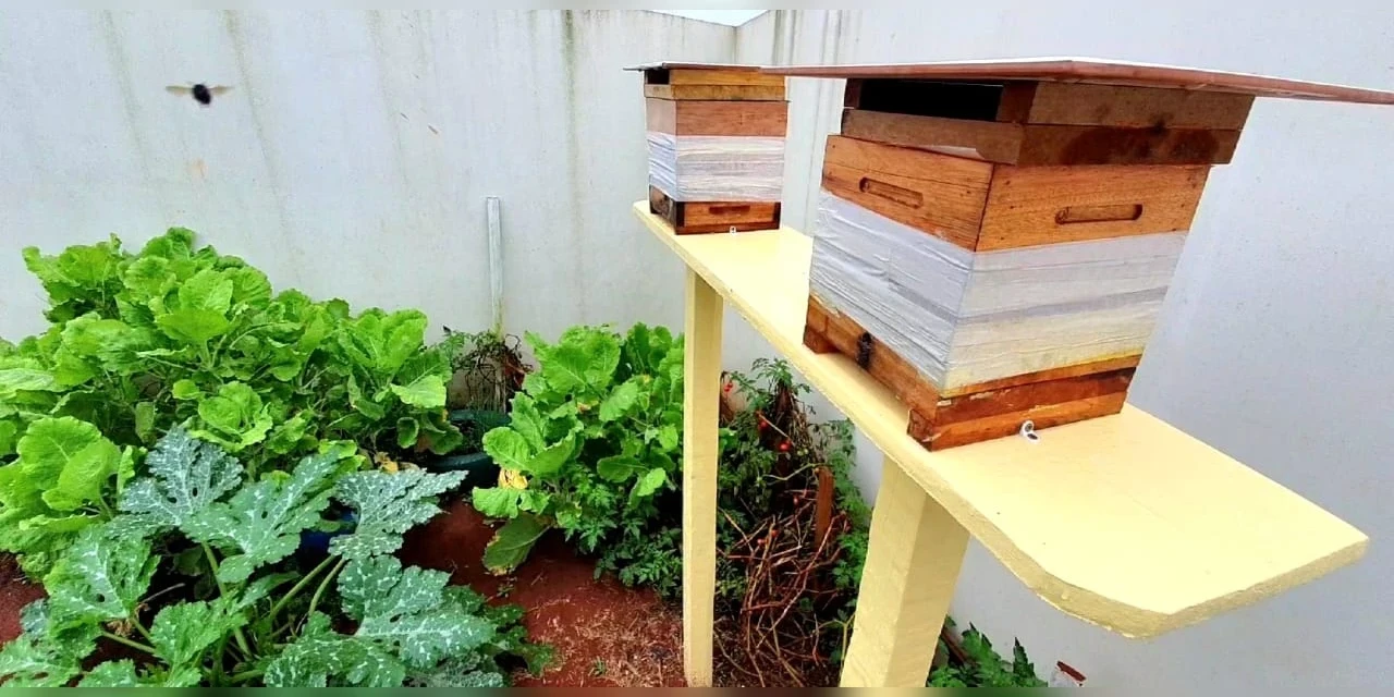 Ponta Grossa expande o programa Jardins de Mel
