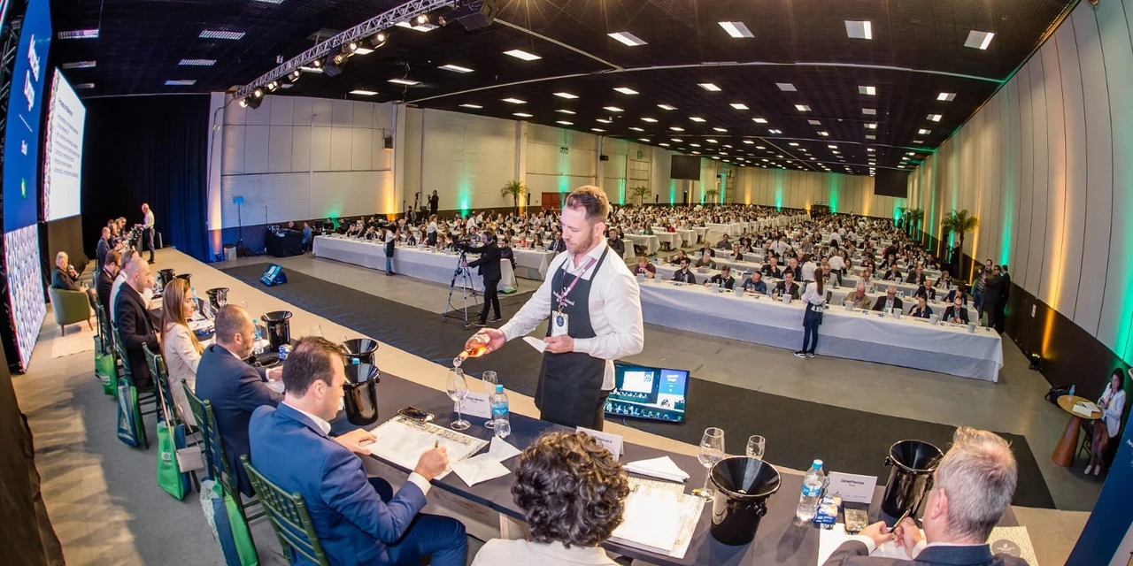 Vinhos & Viagens: Diversidade em castas e técnicas de produção marca a Safra 2023 no Brasil, por Patricia Ecave