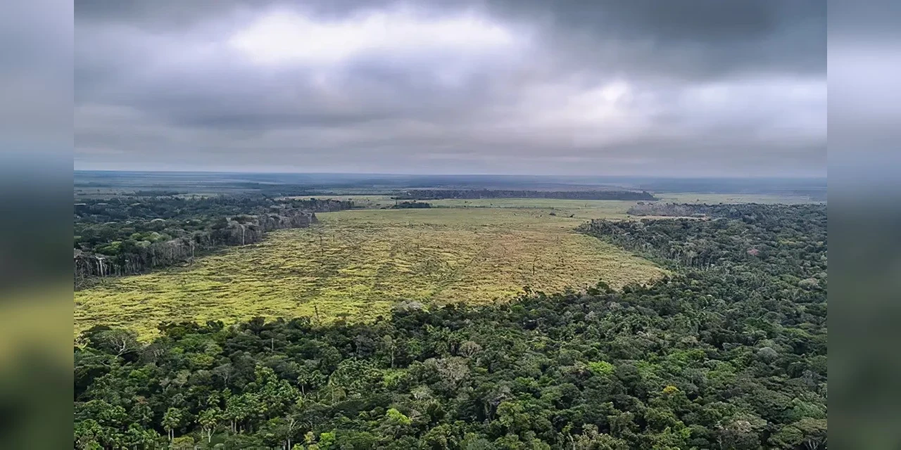 Estudo quer fim do desmatamento legal para zerar gases estufa no país
