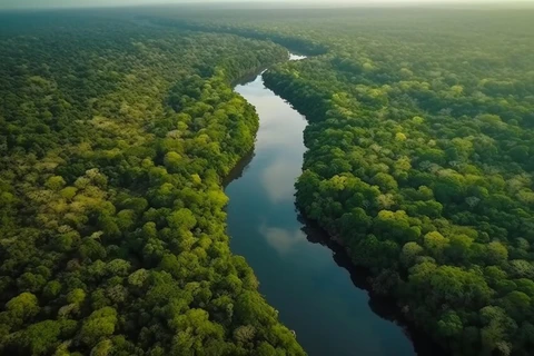 Coluna Marcando História: 'AMAZONAS vs. AMAZON: A empresa deve royalties ao Estado?', por Andreza Baroni