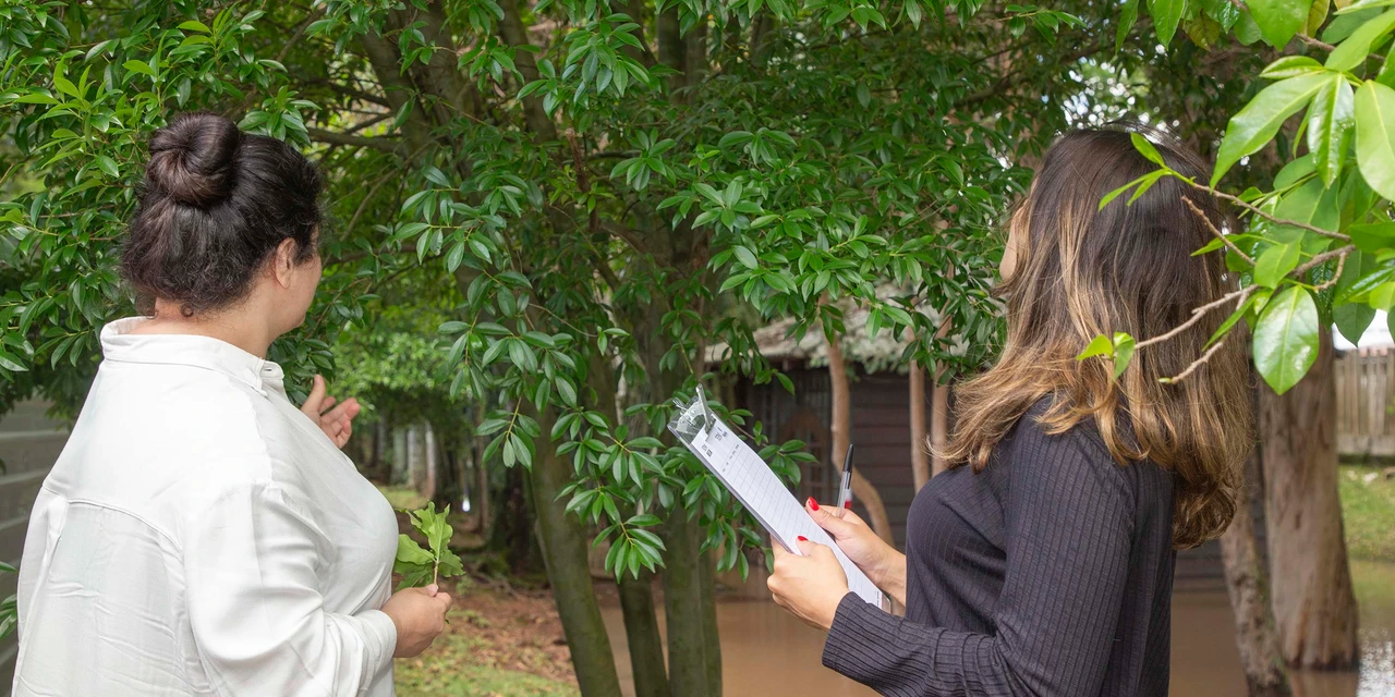 Tecpar já valida inventários de carbono em duas regiões do País