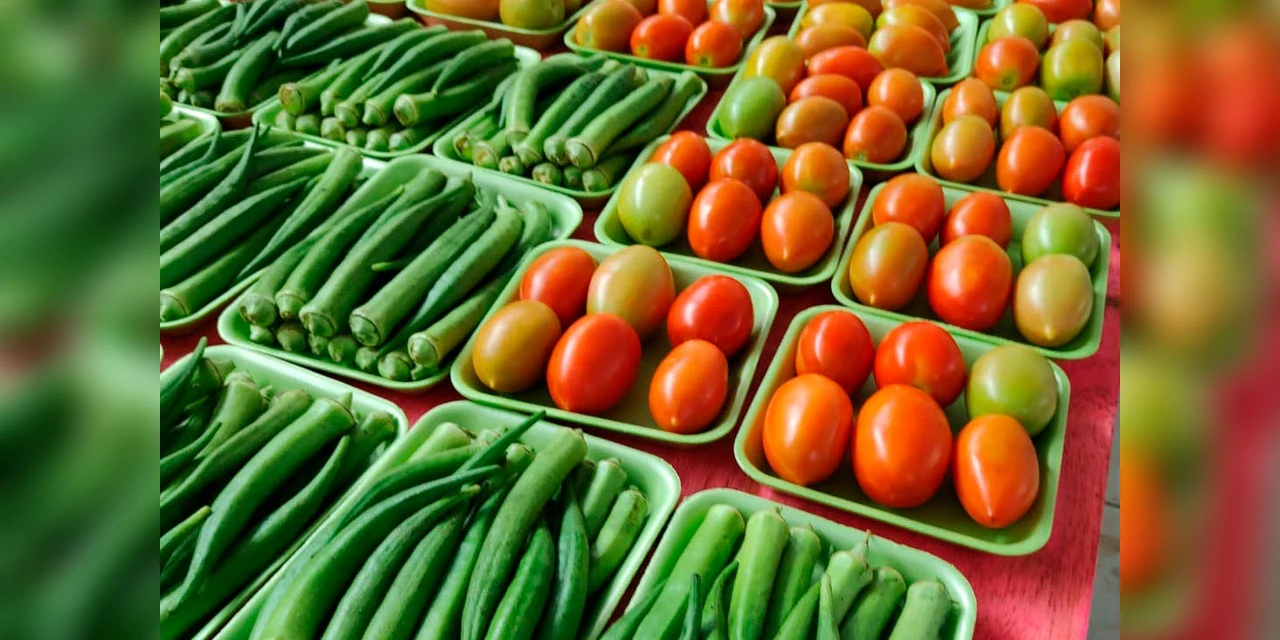 Segurança alimentar e agricultura familiar do Paraná receberam R$ 270 milhões em 2023