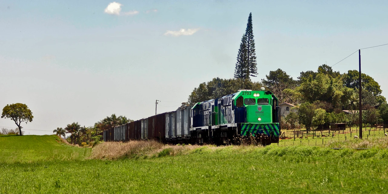 Avanços no licenciamento ambiental e rodadas internacionais marcam ano da Nova Ferroeste
